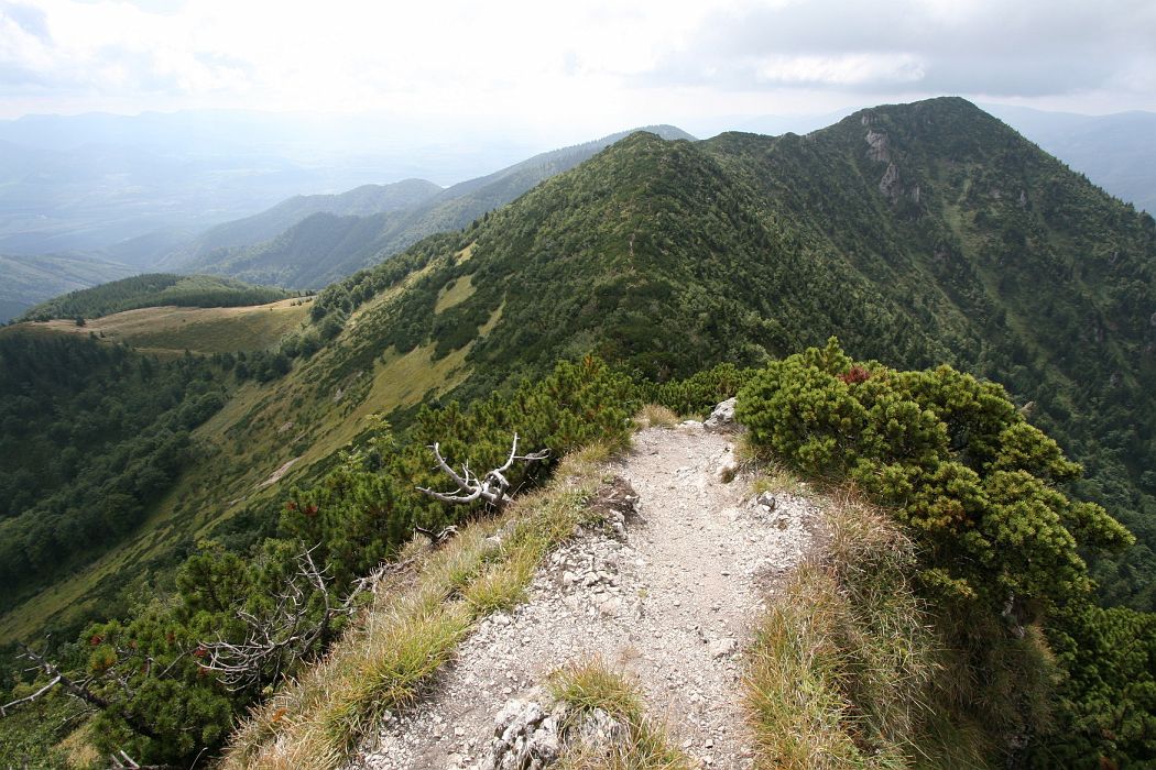 suchy.jpg - Suchý (vpravo) - prvý vrchol na hrebeni