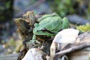 img_0752