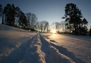 IMG_9515-2
