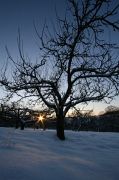 IMG_9529