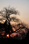 img_0760