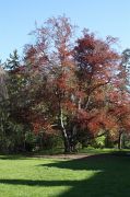 IMG_1279-2