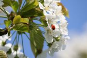 IMG_0881