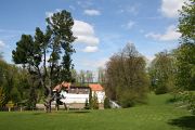 IMG_6801