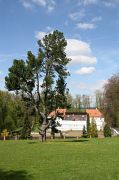 IMG_6803