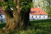 img_1286