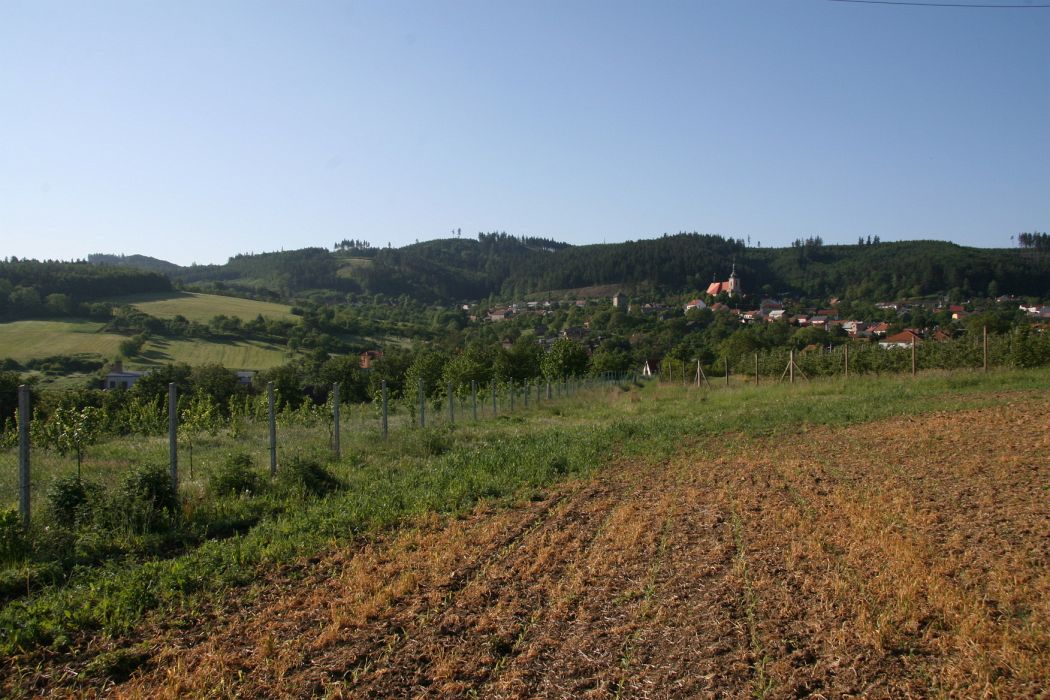 IMG_2476.JPG