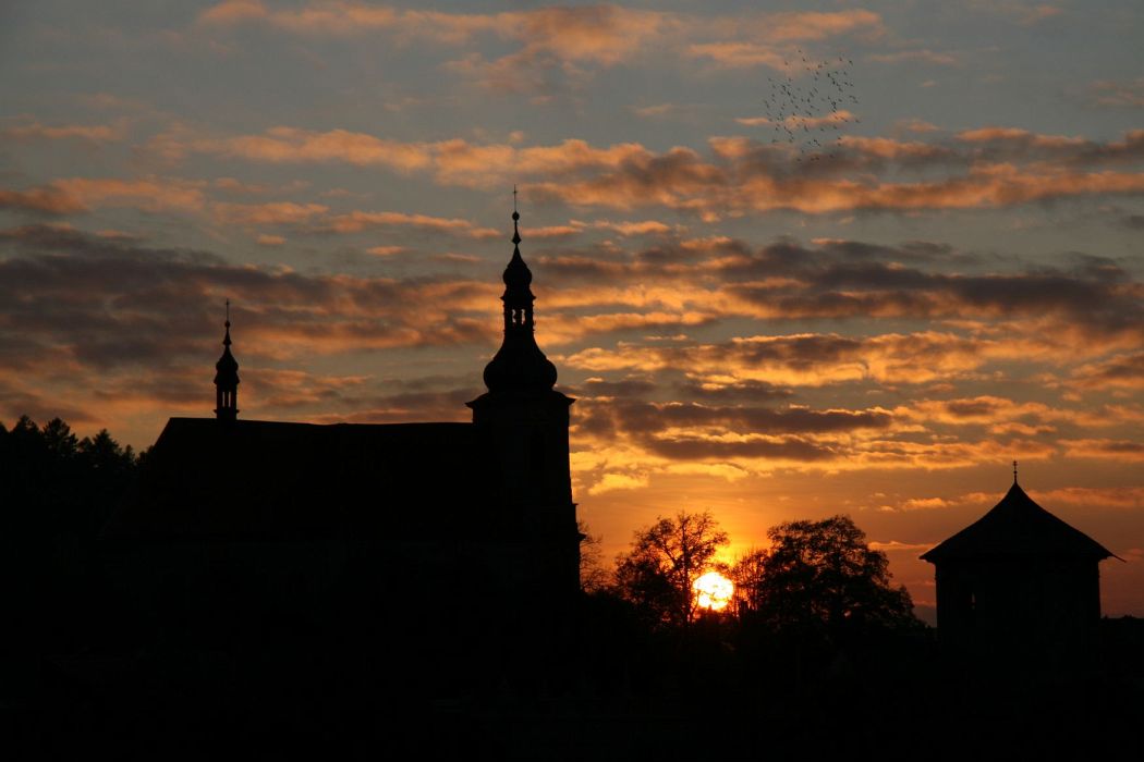 img_8477.jpg